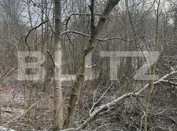 Teren de vânzare Tautii-Magheraus - 187070TV | BLITZ Baia Mare | Poza2