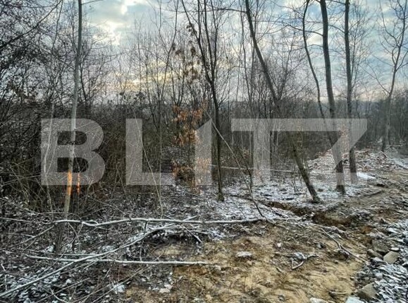 Teren de vânzare Tautii-Magheraus - 187070TV | BLITZ Baia Mare | Poza1