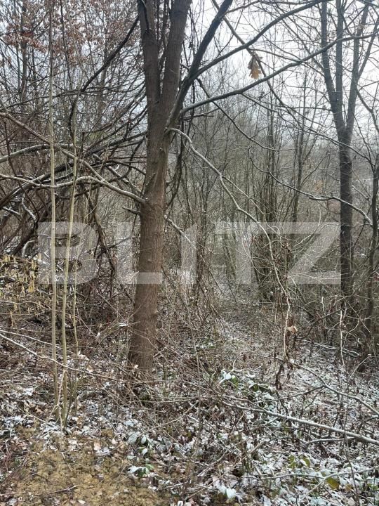 Teren de vânzare Tautii-Magheraus - 187070TV | BLITZ Baia Mare | Poza3