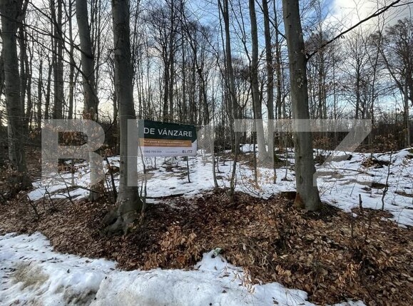 Teren de vânzare Baia Sprie - 187072TV | BLITZ Baia Mare | Poza2