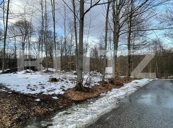 Teren de vânzare Baia Sprie - 187072TV | BLITZ Baia Mare | Poza3