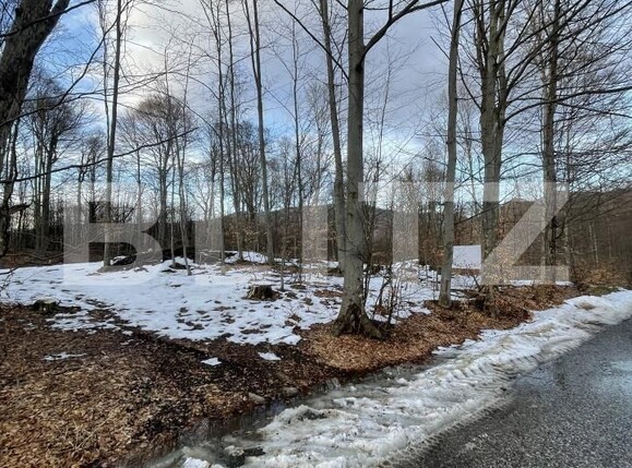 Teren de vânzare Baia Sprie - 187072TV | BLITZ Baia Mare | Poza4