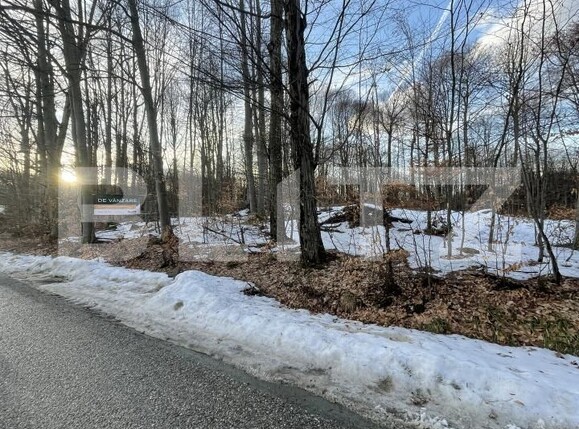 Teren de vânzare Baia Sprie - 187072TV | BLITZ Baia Mare | Poza1