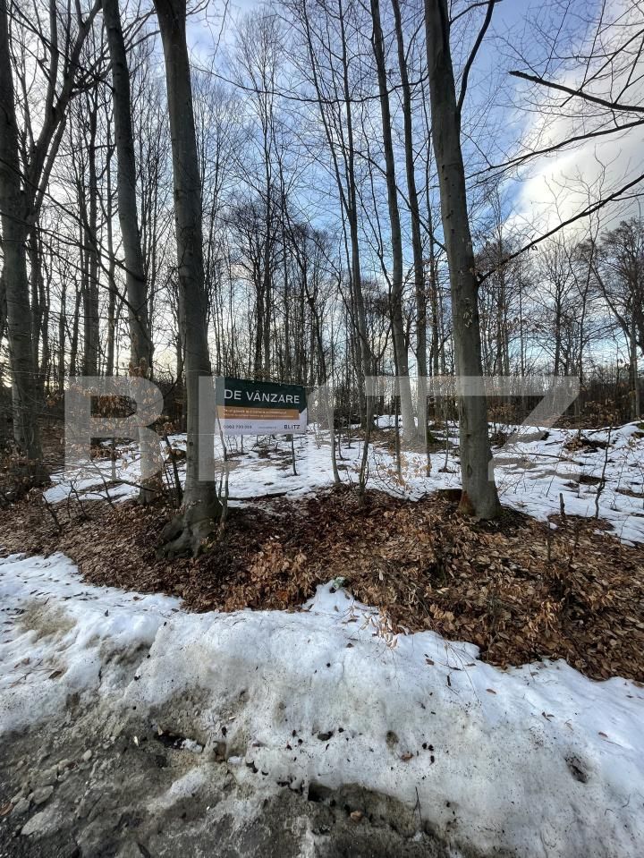 Teren de vânzare Baia Sprie - 187072TV | BLITZ Baia Mare | Poza2