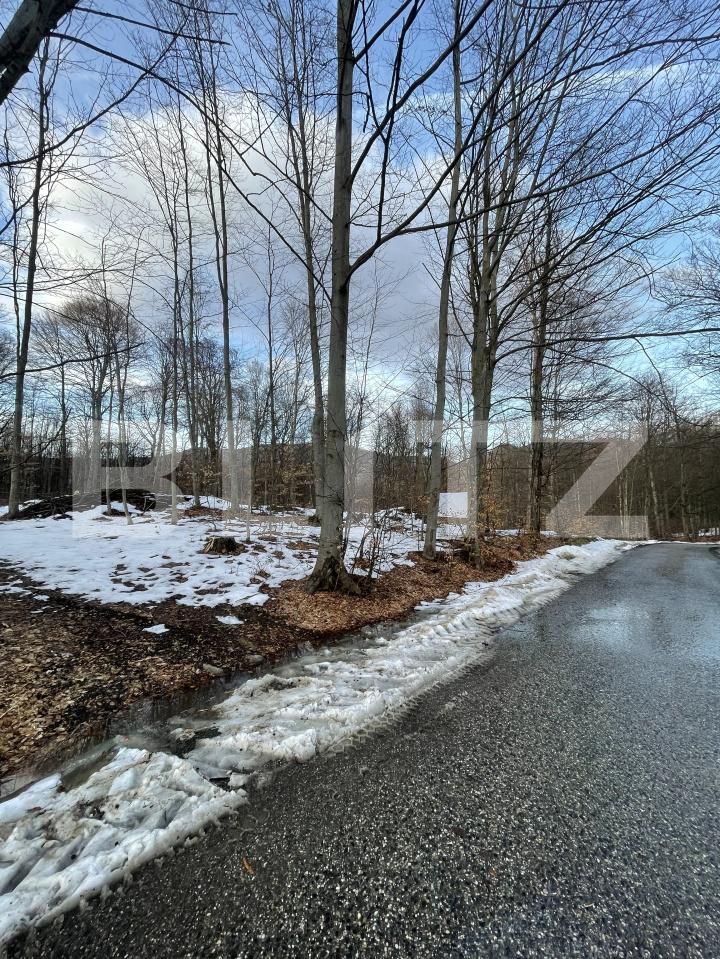 Teren de vânzare Baia Sprie - 187072TV | BLITZ Baia Mare | Poza3