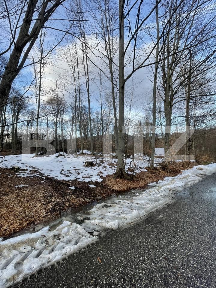 Teren de vânzare Baia Sprie - 187072TV | BLITZ Baia Mare | Poza4