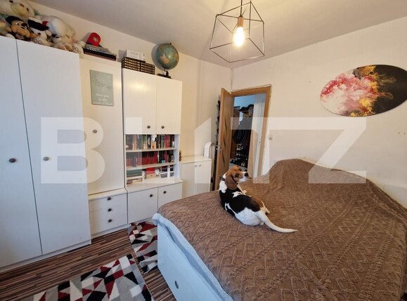 Apartament de vânzare 3 camere Central - 187133AV | BLITZ Baia Mare | Poza10