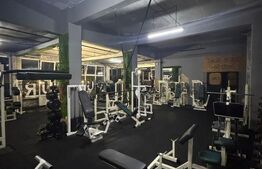 Spațiu comercial 176 mp Baia Sprie, zona Lidl, chiriaș activ, utilat