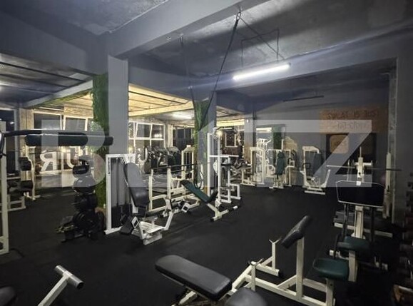 Spațiu industrial de vânzare Baia Sprie - 187290SVI | BLITZ Baia Mare | Poza1