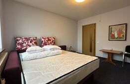 Casă Ultracentral - Centrul Vechi Baia Mare