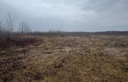 Teren extravilan Bușag 82 ari, plan drept, lângă Lăpuș, acces drum