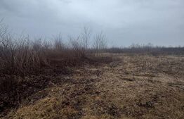 Teren extravilan Bușag 82 ari, plan drept, lângă Lăpuș, acces drum