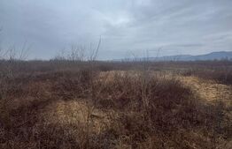 Teren extravilan Bușag 82 ari, plan drept, lângă Lăpuș, acces drum