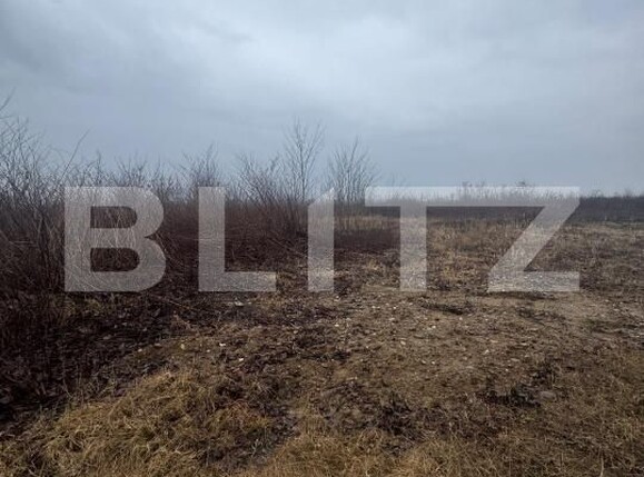 Teren de vânzare Tautii-Magheraus - 187315TV | BLITZ Baia Mare | Poza2