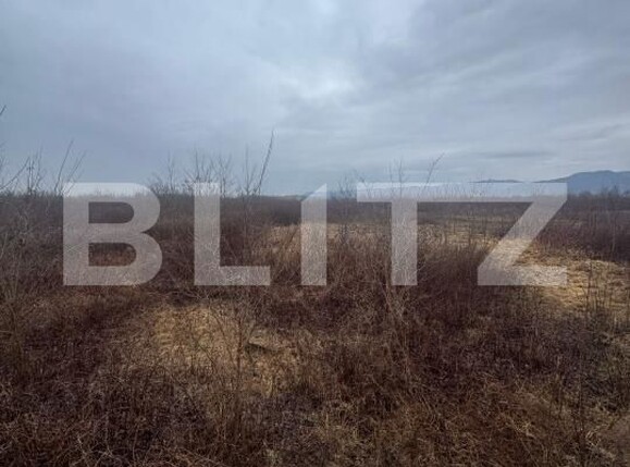 Teren de vânzare Tautii-Magheraus - 187315TV | BLITZ Baia Mare | Poza4