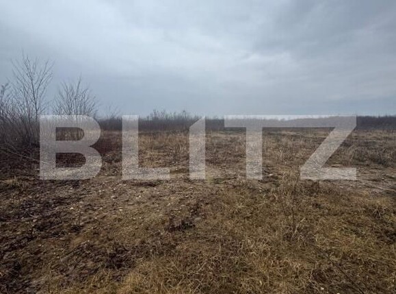 Teren de vânzare Tautii-Magheraus - 187315TV | BLITZ Baia Mare | Poza3