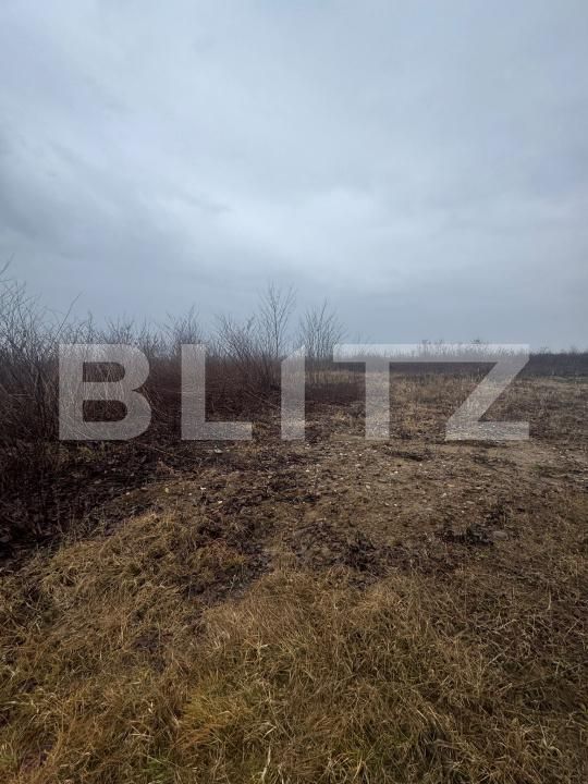 Teren de vânzare Tautii-Magheraus - 187315TV | BLITZ Baia Mare | Poza2