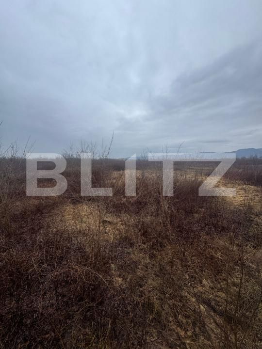Teren de vânzare Tautii-Magheraus - 187315TV | BLITZ Baia Mare | Poza4