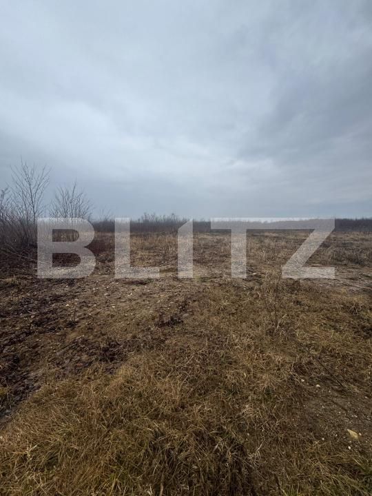 Teren de vânzare Tautii-Magheraus - 187315TV | BLITZ Baia Mare | Poza3