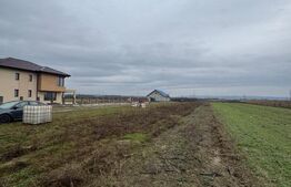 Teren Mocira 50 ari | Plan drept | Utilități aproape | Zonă în dezvoltare