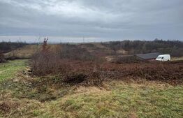 Teren Mocira 50 ari | Plan drept | Utilități aproape | Zonă în dezvoltare