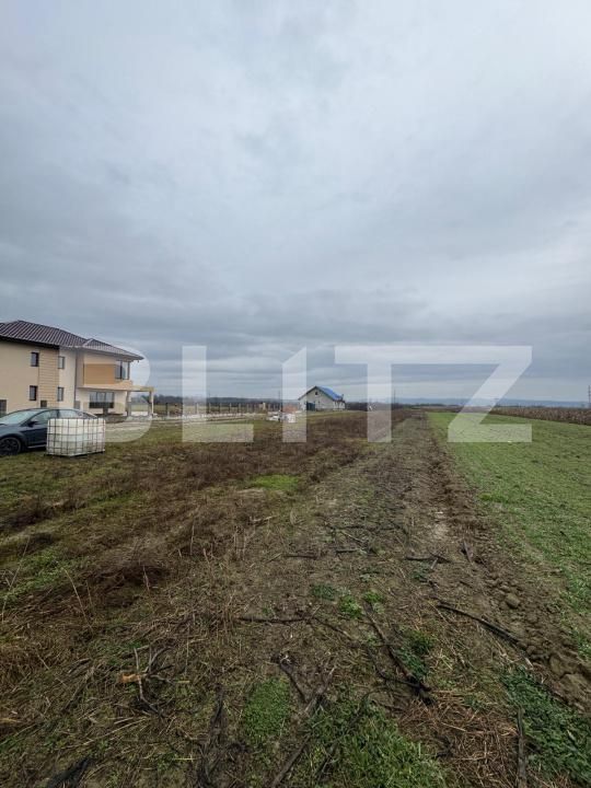 Teren de vânzare Mocira - 187328TV | BLITZ Baia Mare | Poza3