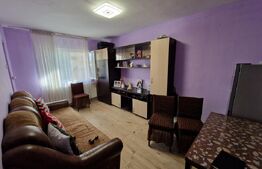 Garsoniera 1 camera, 22 mp zona Tepes