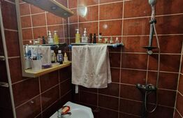 Garsoniera 1 camera, 22 mp zona Tepes