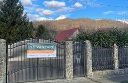 Oportunitate! Casa P+1 deosebita, 223mp, teren 2544mp, Cicarlau