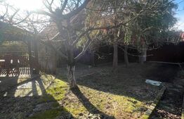 Oportunitate! Casa P+1 deosebita, 223mp, teren 2544mp, Cicarlau