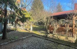 Oportunitate! Casa P+1 deosebita, 223mp, teren 2544mp, Cicarlau