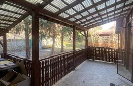 Oportunitate! Casa P+1 deosebita, 223mp, teren 2544mp, Cicarlau