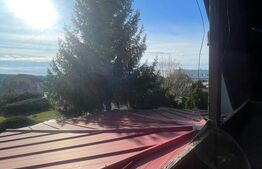 Oportunitate! Casa P+1 deosebita, 223mp, teren 2544mp, Cicarlau