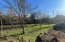 Oportunitate! Casa P+1 deosebita, 223mp, teren 2544mp, Cicarlau