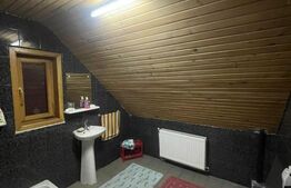 Oportunitate! Casa P+1 deosebita, 223mp, teren 2544mp, Cicarlau