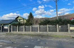 Oportunitate! Casa P+1 deosebita, 223mp, teren 2544mp, Cicarlau