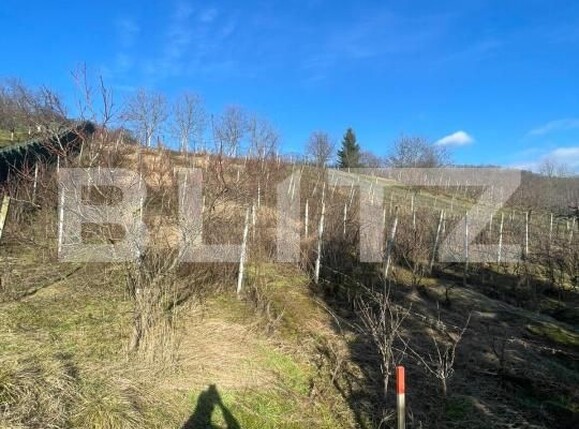 Casa de vânzare 6 camere Cicarlau - 187520CV | BLITZ Baia Mare | Poza13