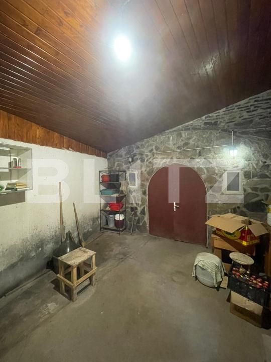 Casa de vânzare 6 camere Cicarlau - 187520CV | BLITZ Baia Mare | Poza15