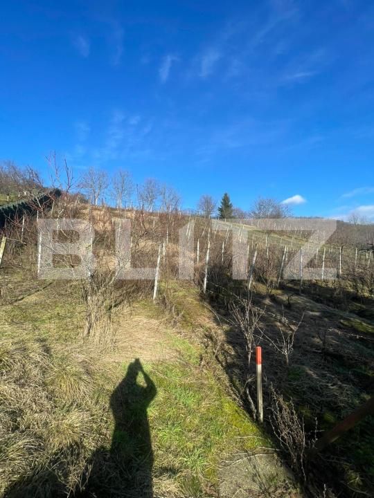 Casa de vânzare 6 camere Cicarlau - 187520CV | BLITZ Baia Mare | Poza13
