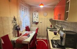 Apartament 2 camere, 46 mp, zona Central