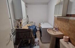 Casă duplex, 195 mp, strada G. Ureche