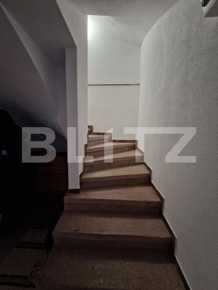 Casa de vânzare 4 camere Valea Borcutului - 187628CV | BLITZ Baia Mare | Poza16
