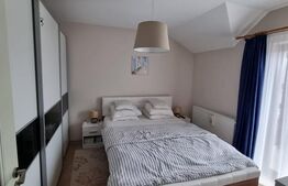 Casă tip duplex de vânzare în Tăuții Măgherăuș – zona Dura / Dru Relax