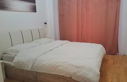 Apartament 2 camere, 48 mp, zona Vasile Alecsandri 