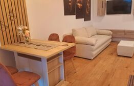 Apartament 2 camere, 48 mp, zona Vasile Alecsandri 