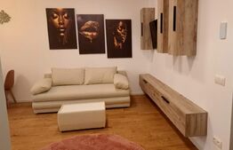 Apartament 2 camere, 48 mp, zona Vasile Alecsandri 