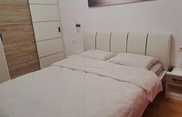 Apartament 2 camere, 48 mp, zona Vasile Alecsandri 
