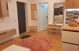 Apartament 2 camere, 48 mp, zona Vasile Alecsandri 
