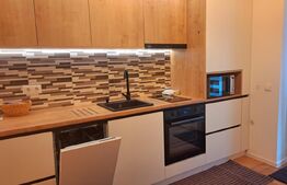 Apartament 2 camere, 48 mp, zona Vasile Alecsandri 