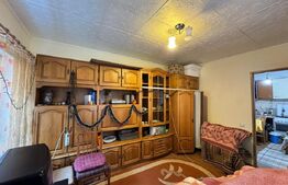 Casă individuală, 101 mp, zonă Centrală - Valea Roșie